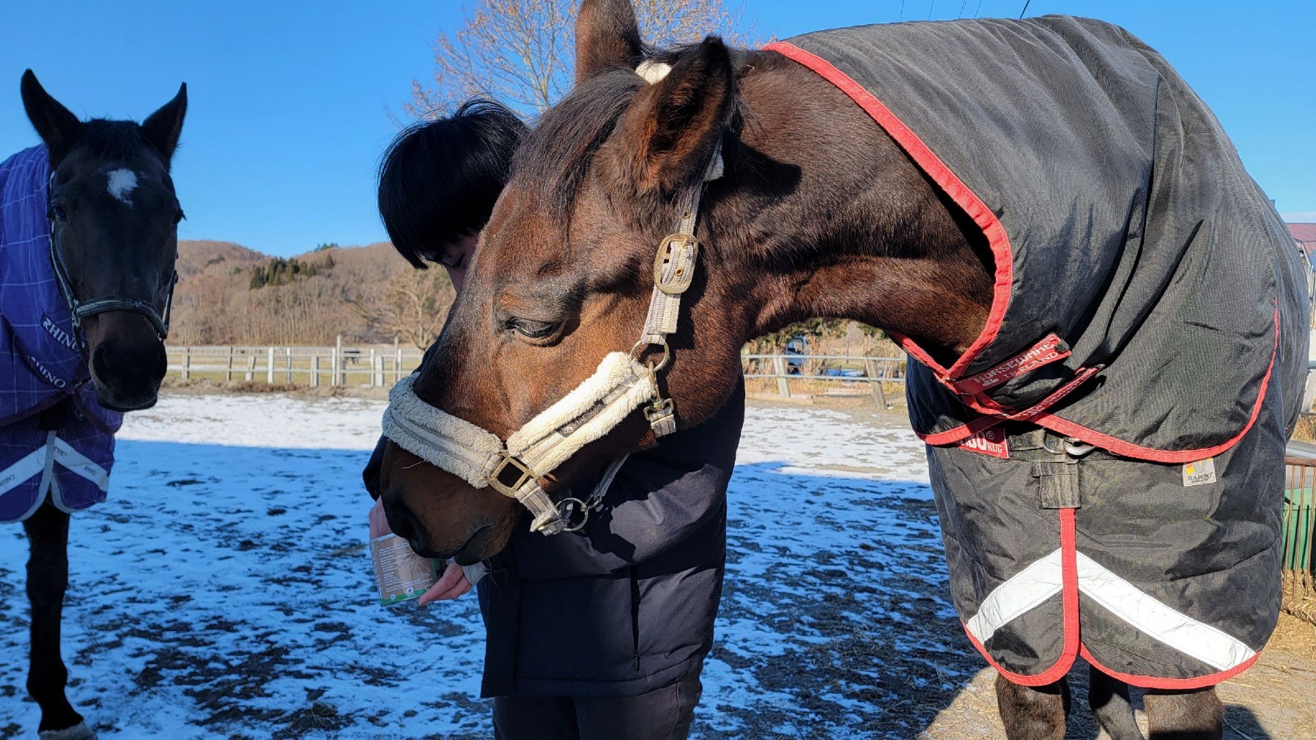 917cb632c86411bc4286a392437013e3-1760934843.jpg 917cb632c86411bc4286a392437013e3-1760934843.jpg